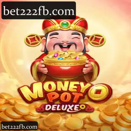 MoneyPotDELUXE